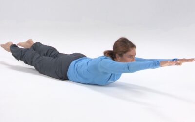 Aligned for the Holidays