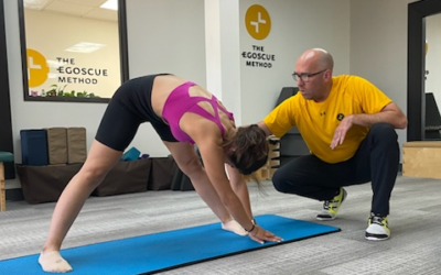 New Year, New Alignment